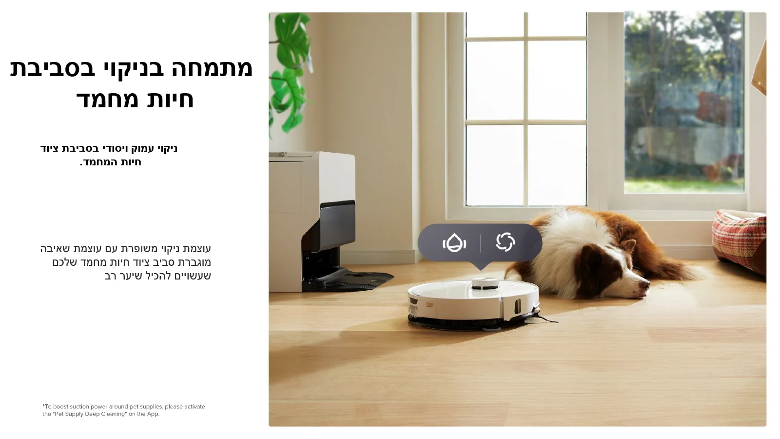 מתמחה בניקוי בסביבת חיות מחמד