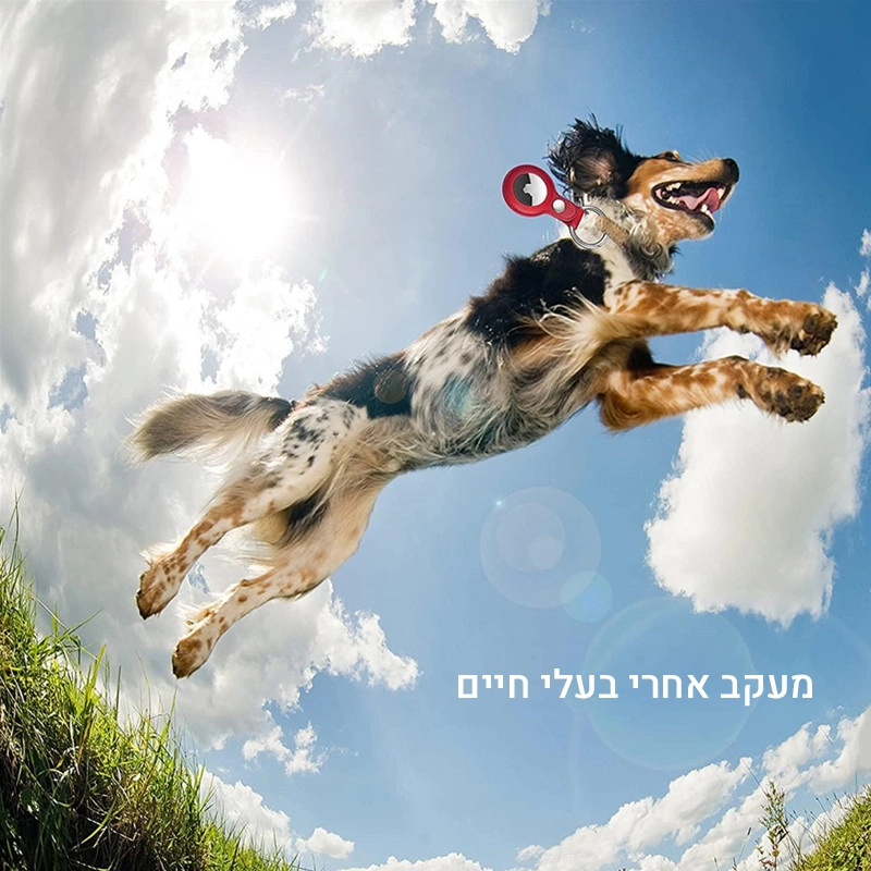 תאור מוצר
