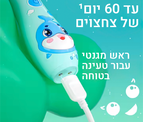 תיאור מוצר