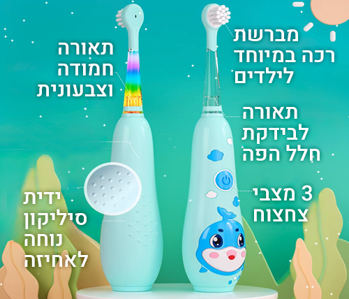 תיאור מוצר