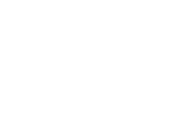 AMD RYZEN