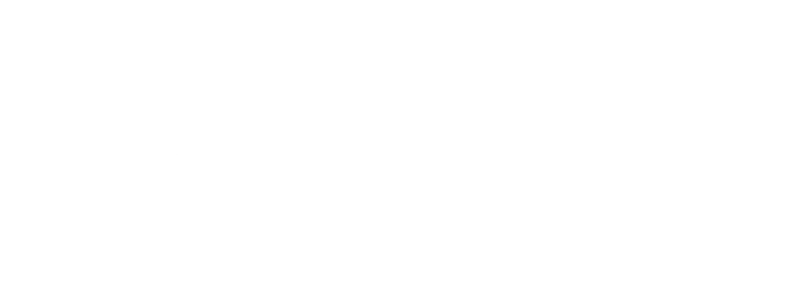 DUAL