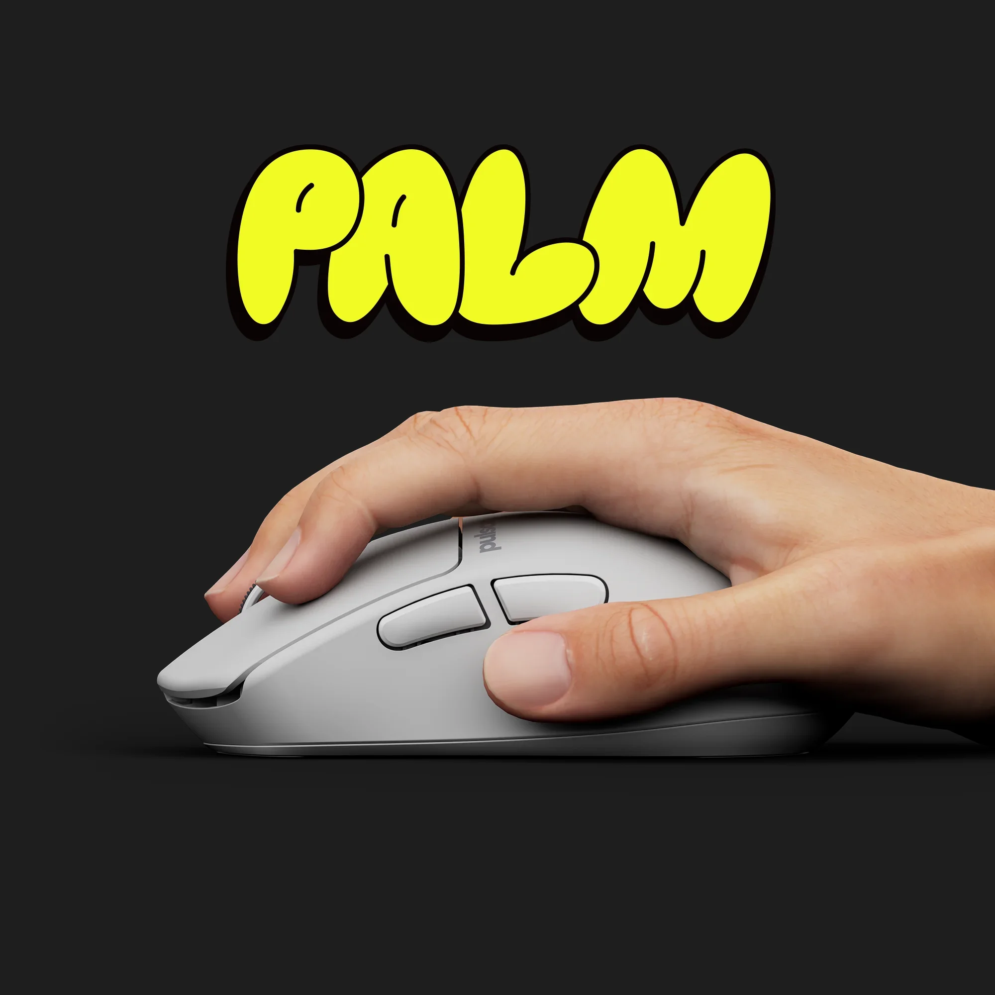 palm