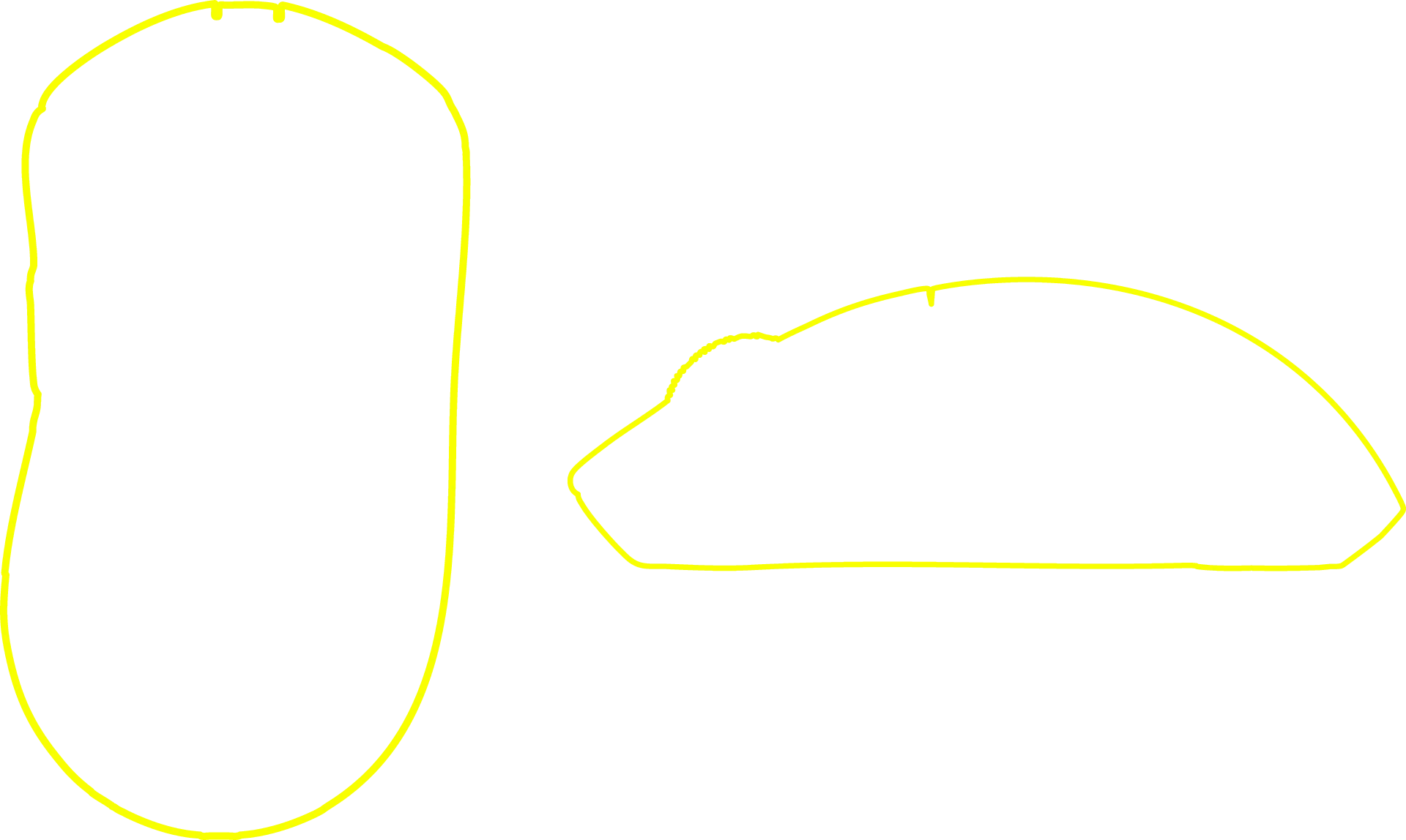 palm