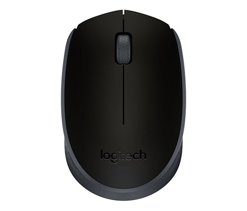 עכבר אלחוטי Logitech Wireless M171 בצבע שחור ואפור