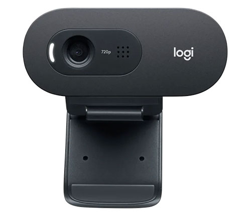 מצלמת רשת Logitech C505e HD Business