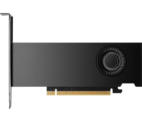 כרטיס מסך PNY NVIDIA RTX 2000 Ada Generation 16 GB GDDR6 ECC