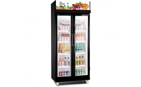 מקררים Sachs (זקש) EF-550 1