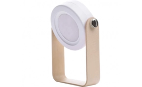 תאורה ותאורה חכמה Mizuki IV-DSKLP01 1