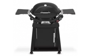 גריל חשמלי וגריל גז  Weber +Q 2800N 1