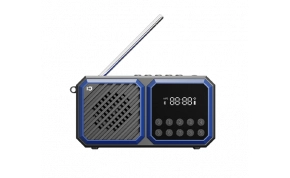 רדיו Shidu IV-SD-F5-BU 1