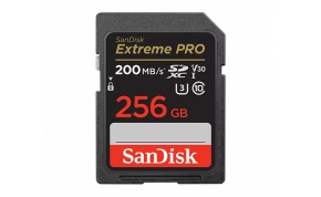 כרטיס זכרון SanDisk SDSDXXD-256G 1