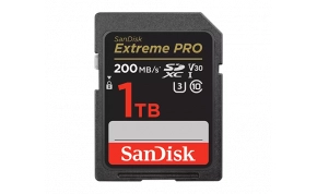 כרטיס זכרון SanDisk SDSDXXD-512G 1