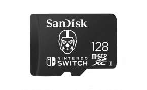 כרטיס זכרון SanDisk SDSQXAO-128G-GN6ZG 1