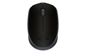 עכבר Logitech M171  1