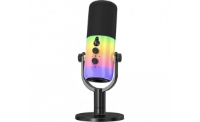 מיקרופון Ivory Sound ZTT42 1