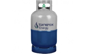 גריל חשמלי וגריל גז   112039 1