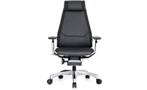 כיסא קיסר  - KEISAR Genidia  1