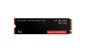 כונני SSD SanDisk WDS100T4X0E 1