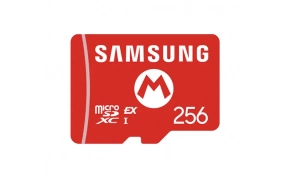 כרטיס זכרון Samsung NSW2SSDE256G 1