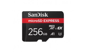 כרטיס זכרון Samsung SDSQXFN-256G-GN4NN 1