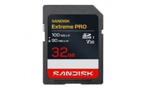 כרטיס זכרון SanDisk SDSDXXO-032G-GSCIN 1