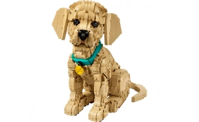 לגו LEGO 11384 1